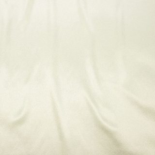 Champagne Glossy Satin(not white)