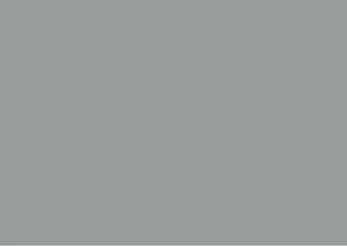 Silver Grey LT