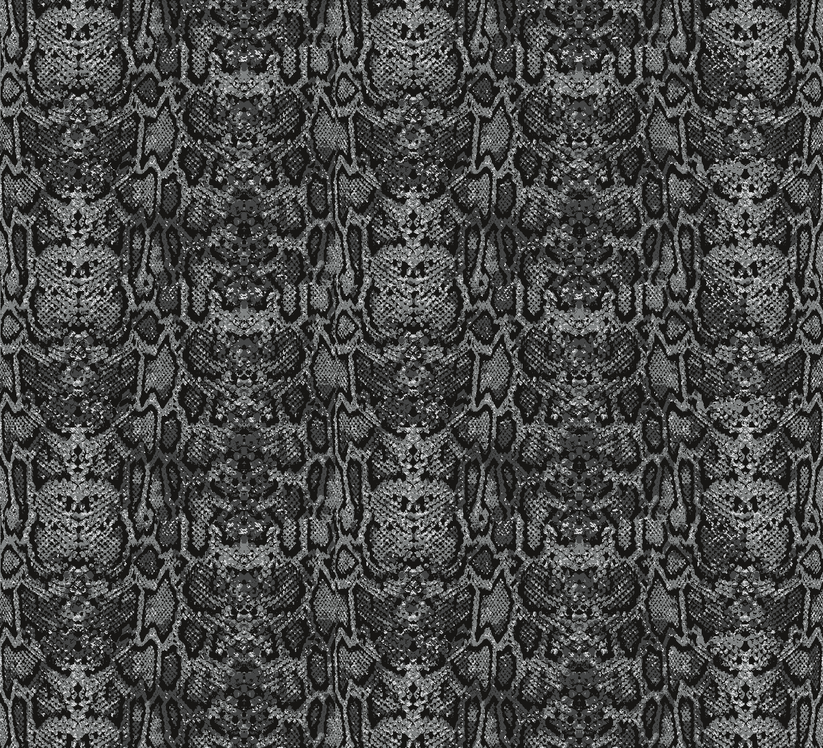 Black/ Grey Snake
