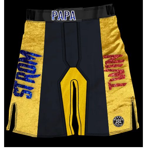 Three Panel MMA Shorts – custom MMA shorts with front/back colour blocks and matching side panels, plus stretch gusset and flex-fit waistband.
