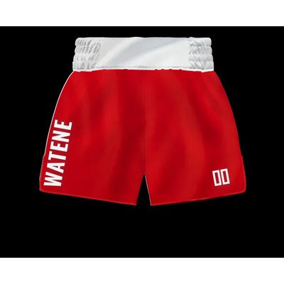 Boxxerworld Classic MTS