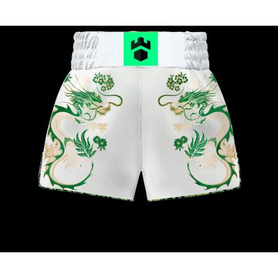 DRAGON MTS | Custom Muay Thai Shorts | Boxxerworld