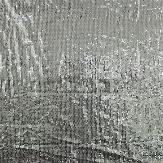 Silver Sequins