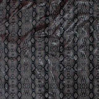 Black  Contrast Snake