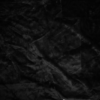 Black Short Fur